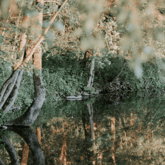 Frame-4916-2-1.png